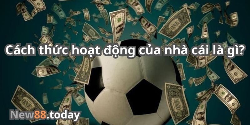 Cách thức hoạt động của nhà cái là gì?