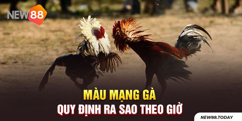 Màu mạng gà quy định ra sao theo giờ